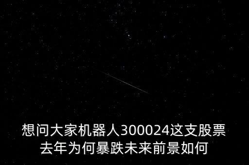 想問(wèn)大家機(jī)器人300024這支股票去年為何暴跌未來(lái)前景如何