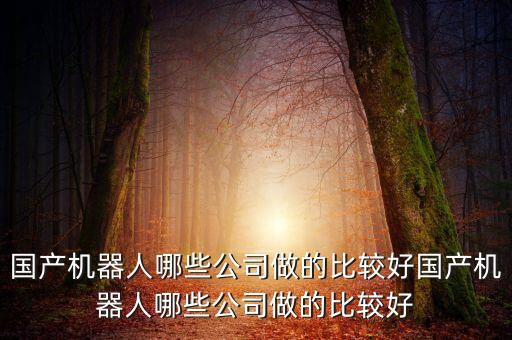 國產(chǎn)機器人哪些公司做的比較好國產(chǎn)機器人哪些公司做的比較好