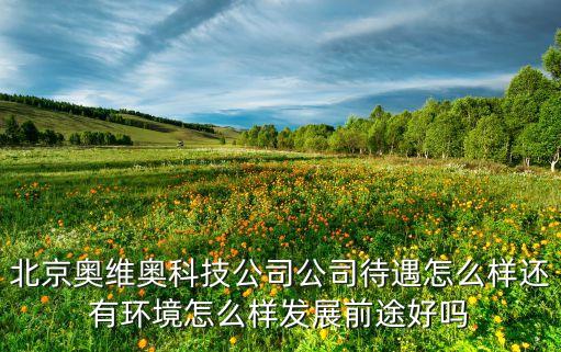 北京奧維奧科技公司公司待遇怎么樣還有環(huán)境怎么樣發(fā)展前途好嗎