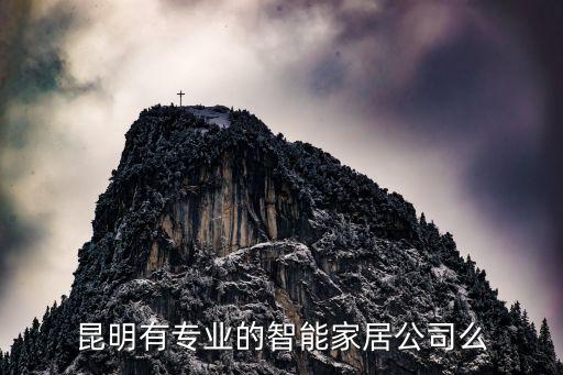 智能家居公司，智能家居哪家公司做的好