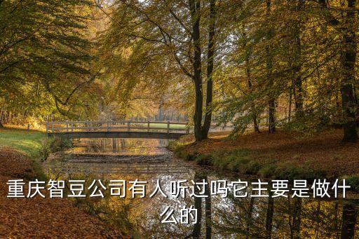 重慶智豆公司有人聽過嗎它主要是做什么的
