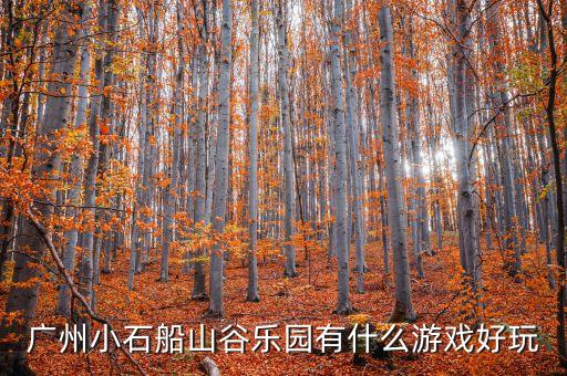 廣州小石船山谷樂園有什么游戲好玩