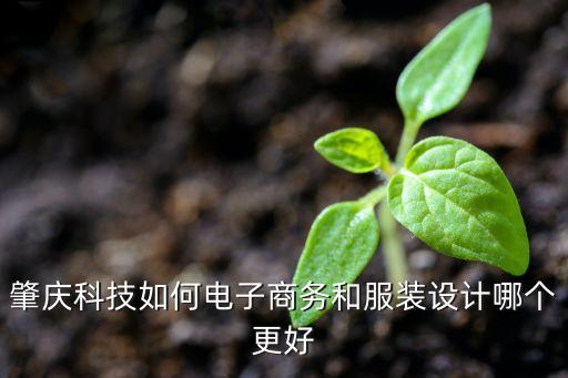 肇慶科技如何電子商務(wù)和服裝設(shè)計(jì)哪個(gè)更好