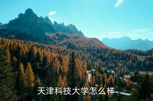 天津科技大學(xué)怎么樣