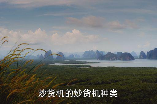 炒貨機的炒貨機種類