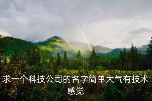 求一個(gè)科技公司的名字簡(jiǎn)單大氣有技術(shù)感覺(jué)