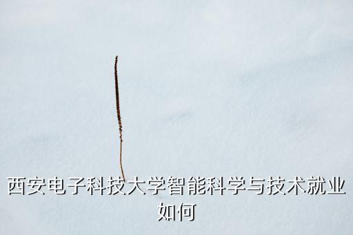 西安電子科技大學(xué)智能科學(xué)與技術(shù)就業(yè)如何