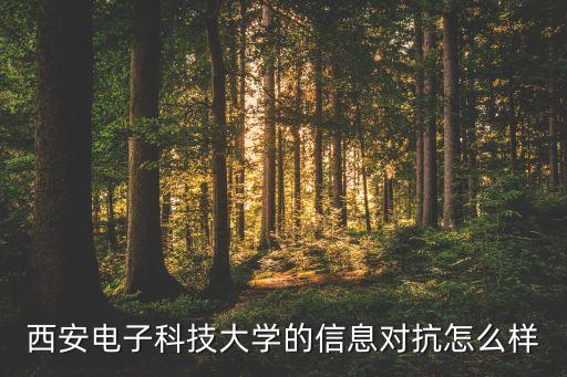 西安電子科技大學(xué)的信息對(duì)抗怎么樣
