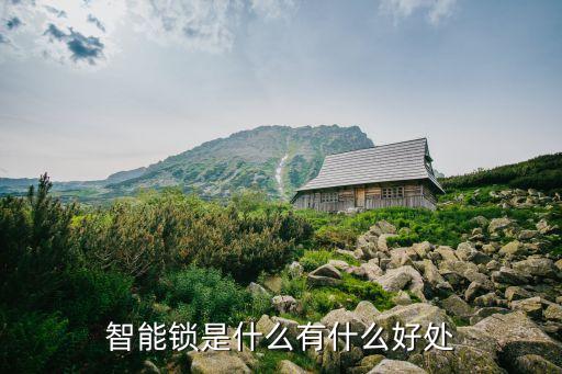智能鎖是什么有什么好處