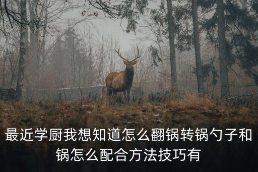 炒鍋翻鍋技巧教學(xué)視頻，最近學(xué)廚我想知道怎么翻鍋轉(zhuǎn)鍋勺子和鍋怎么配合方法技巧有