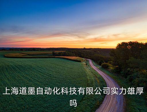 上海寺墨智能科技怎么樣，上海道墨自動化科技有限公司實力雄厚嗎