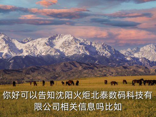 北泰智能科技有限公司如何，深圳市北泰顯示技術(shù)有限公司愿景是什么