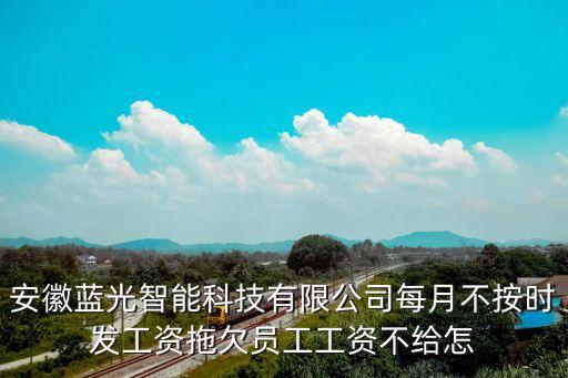 安徽藍(lán)光智能科技有限公司每月不按時(shí)發(fā)工資拖欠員工工資不給怎