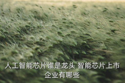 人工智能芯片誰是龍頭 智能芯片上市企業(yè)有哪些
