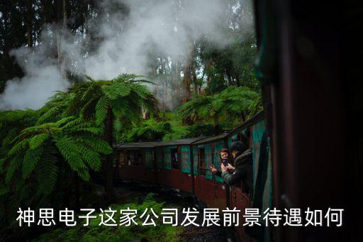 神思電子這家公司發(fā)展前景待遇如何