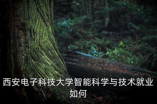 西安電子科技大學(xué)智能科學(xué)與技術(shù)就業(yè)如何