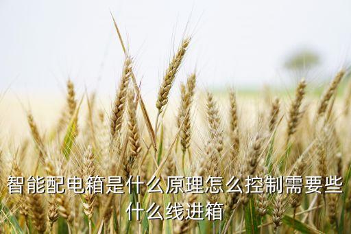 科技館智能配電柜包括什么，控制箱 照明箱 配電箱 智能箱分別是什么東西相互有什么聯(lián)系  搜