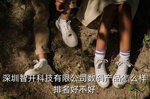 深圳智開科技有限公司數(shù)碼產(chǎn)品怎么樣排名好不好