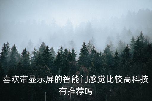 智能科技掌紋門板怎么樣，喜歡帶顯示屏的智能門感覺比較高科技有推薦嗎