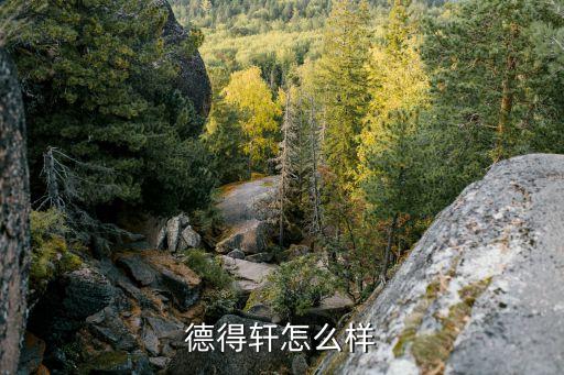 德得軒怎么樣