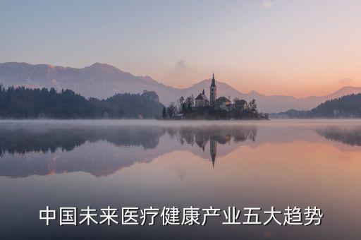 中國(guó)未來醫(yī)療健康產(chǎn)業(yè)五大趨勢(shì)