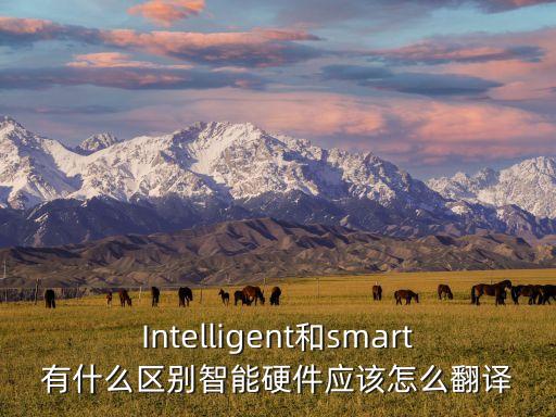 Intelligent和smart有什么區(qū)別智能硬件應(yīng)該怎么翻譯