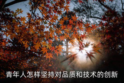 青年人怎樣堅持對品質(zhì)和技術(shù)的創(chuàng)新