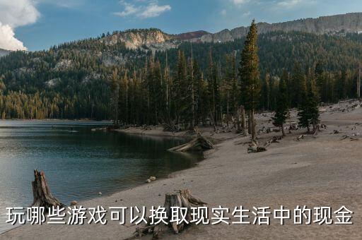 真實可以賺錢提現(xiàn)的游戲，玩哪些游戲可以換取現(xiàn)實生活中的現(xiàn)金