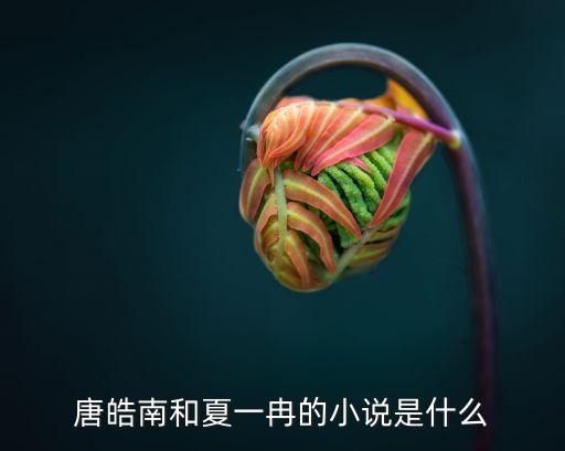 唐皓南和夏一冉的小說(shuō)是什么