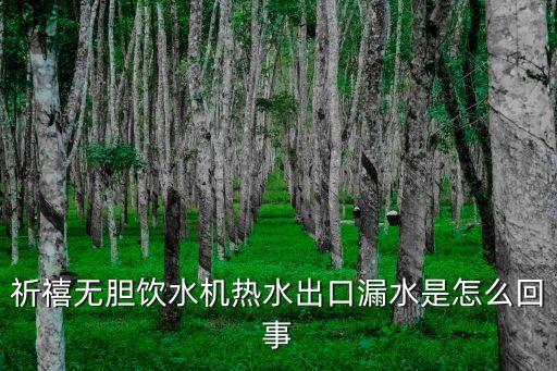 祈禧無膽飲水機(jī)熱水出口漏水是怎么回事