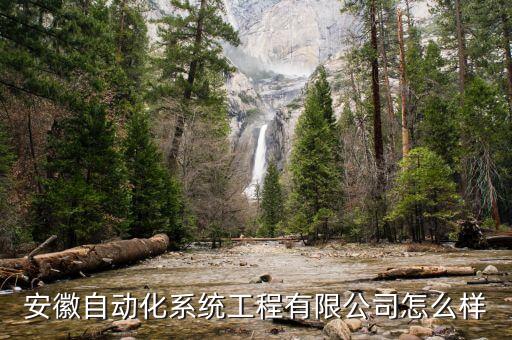 安徽自動(dòng)化系統(tǒng)工程有限公司怎么樣