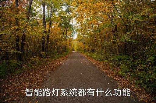 智能路燈系統(tǒng)都有什么功能
