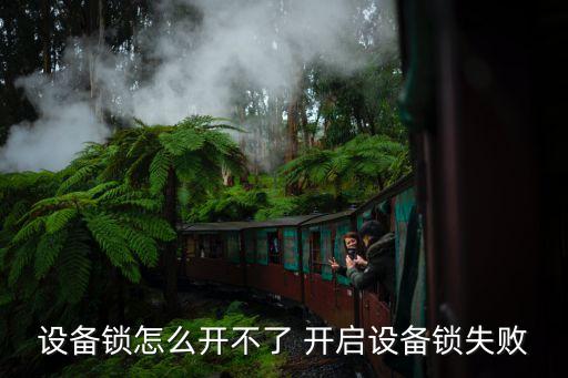 設備鎖怎么開不了 開啟設備鎖失敗