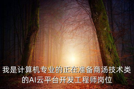 我是計算機專業(yè)的正在準(zhǔn)備商湯技術(shù)類的AI云平臺開發(fā)工程師崗位