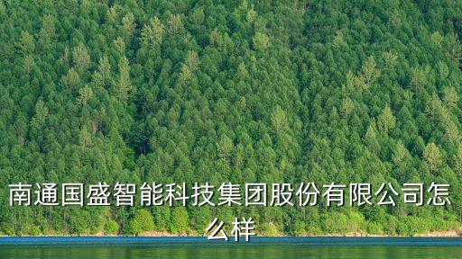 南通國盛智能科技集團股份有限公司怎么樣