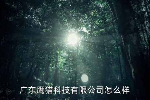 廣東鷹獵科技有限公司怎么樣