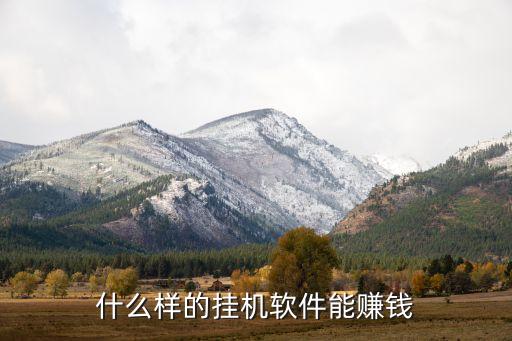 什么樣的掛機軟件能賺錢