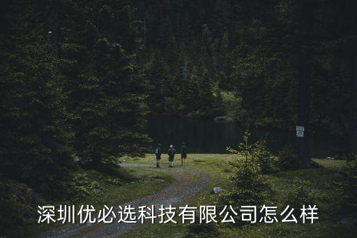 深圳優(yōu)必選科技有限公司怎么樣