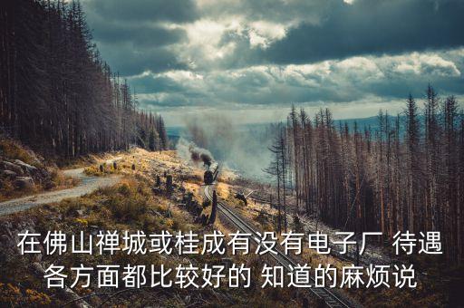 在佛山禪城或桂成有沒(méi)有電子廠 待遇各方面都比較好的 知道的麻煩說(shuō)
