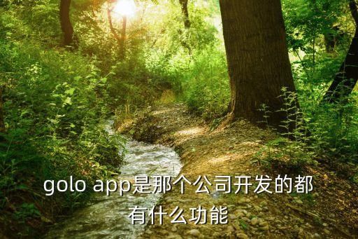 golo app是那個公司開發(fā)的都有什么功能