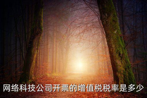 網絡科技公司開票的增值稅稅率是多少