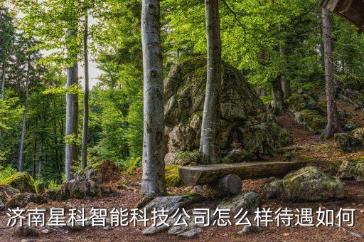 君閣智能科技公司怎么樣，濟(jì)南星科智能科技公司怎么樣待遇如何