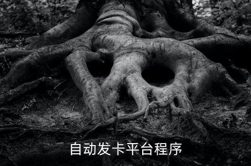 盒子自動發(fā)卡平臺，自動發(fā)卡平臺求詳解在里面買卡便宜么那個自動發(fā)卡平臺好些呢