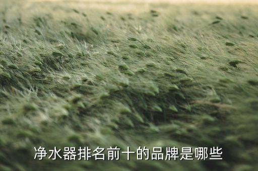凈水器排名前十的品牌是哪些