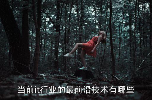 當(dāng)前it行業(yè)的最前沿技術(shù)有哪些