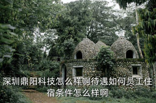 深圳鼎陽(yáng)科技怎么樣啊待遇如何員工住宿條件怎么樣啊