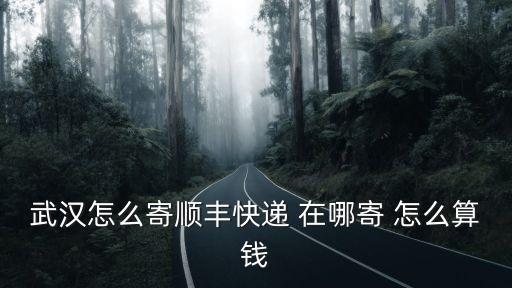 武漢怎么寄順豐快遞 在哪寄 怎么算錢