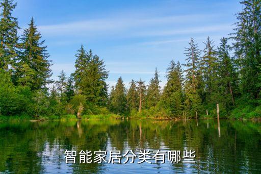智能家居有哪些，智能家居大概有多少種