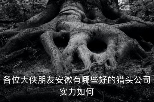 各位大俠朋友安徽有哪些好的獵頭公司實力如何