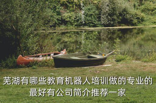 蕪湖有哪些教育機器人培訓(xùn)做的專業(yè)的最好有公司簡介推薦一家